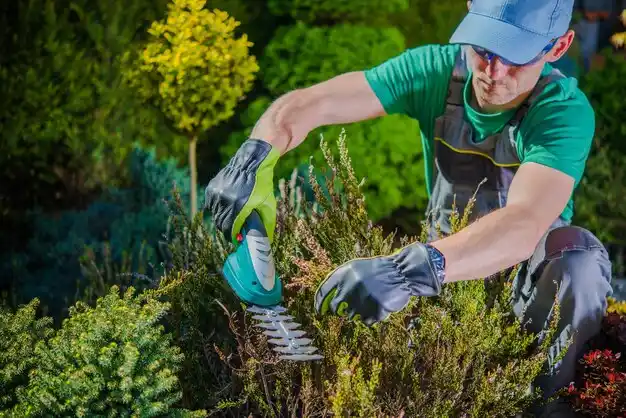 landscaping services Claiborne